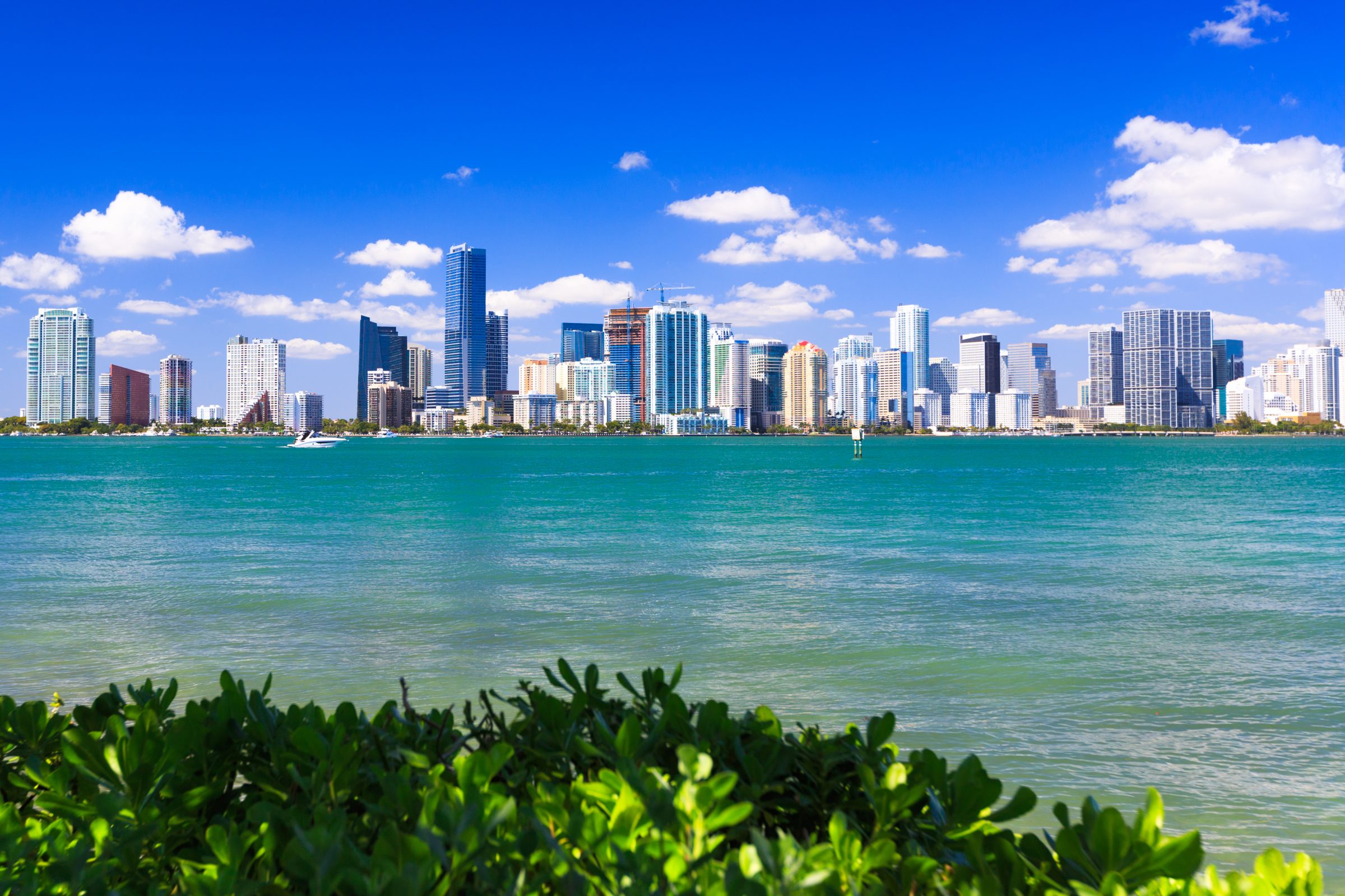 AdobeStock_232403980